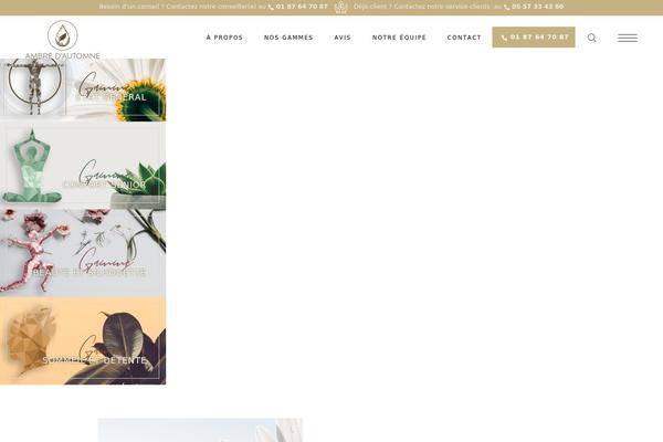 Biagiotti theme site design template sample