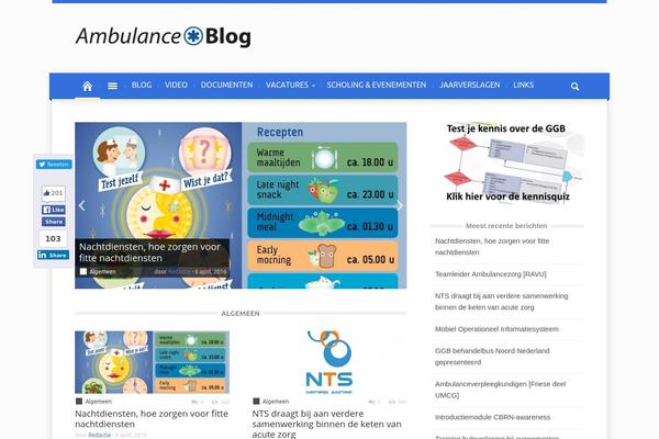 Magazin theme site design template sample