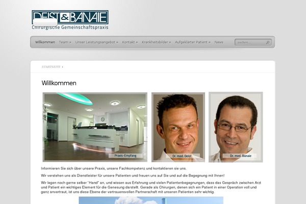 TheProfessional theme site design template sample