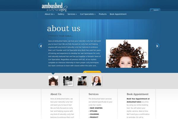 Site using WP Boxer plugin