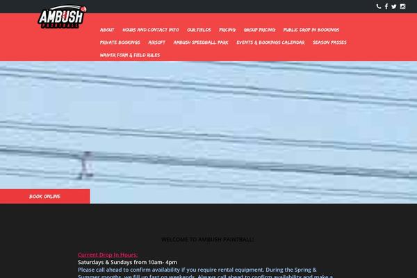 ambushpaintball.com site used Ambush