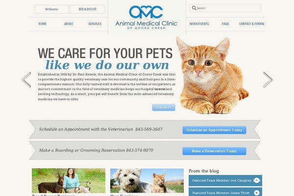 Amc theme site design template sample