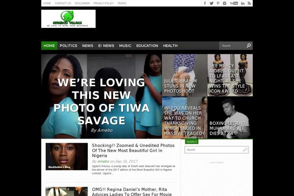 Site using Tenweb-speed-optimizer plugin