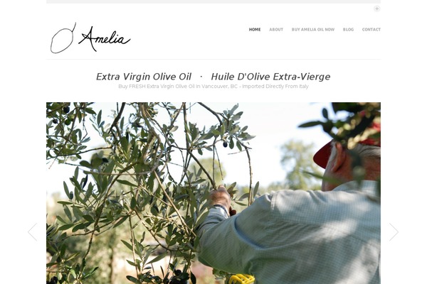 Site using SlickNav Mobile Menu plugin