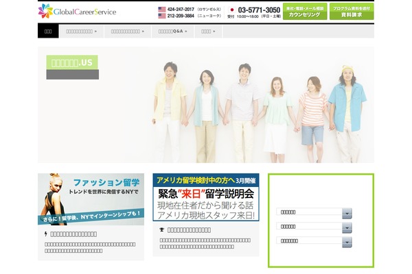 Surplus theme site design template sample