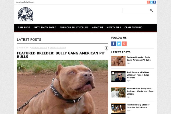 REHub theme site design template sample