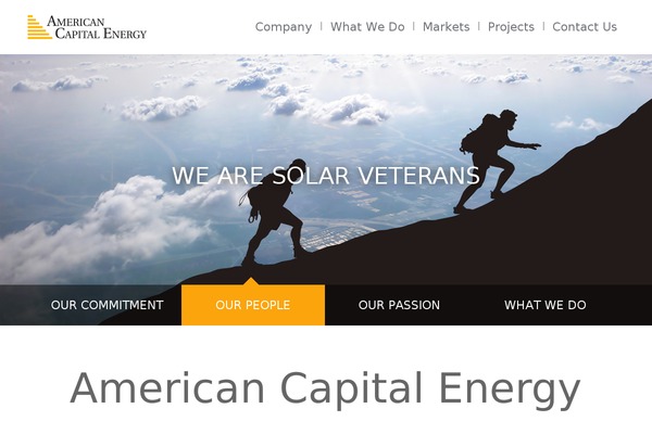 Ace theme site design template sample