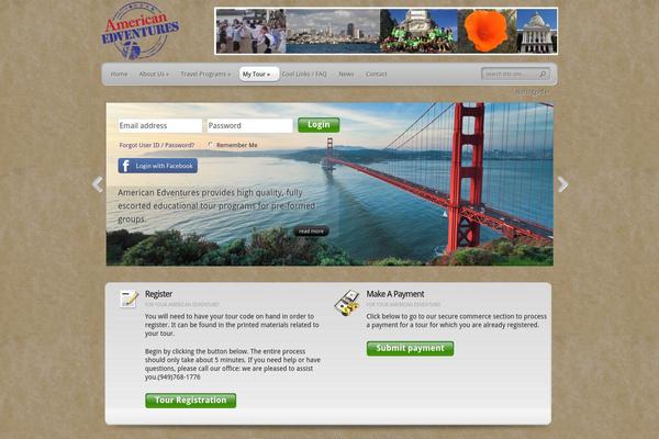 TheProfessional theme site design template sample