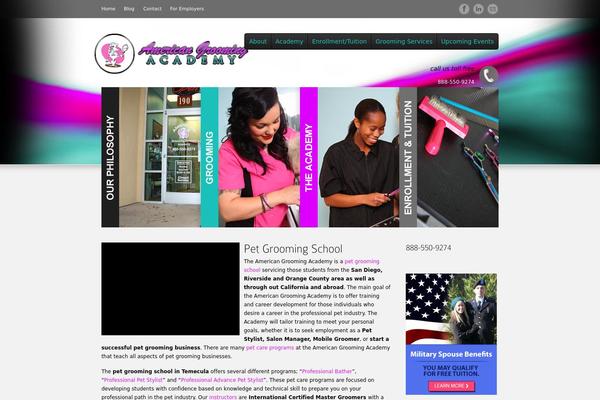 Options theme site design template sample
