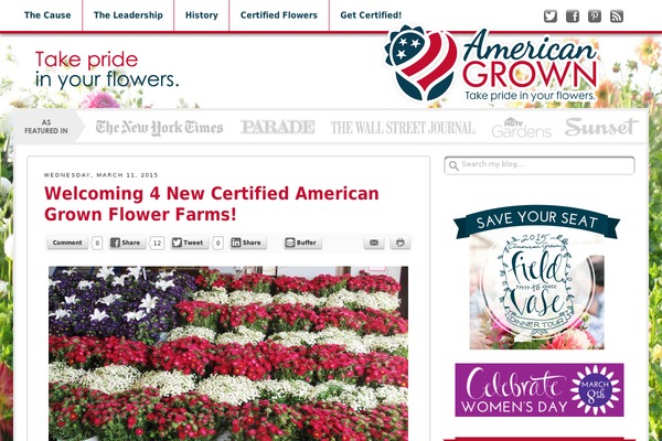 Get Noticed theme site design template sample