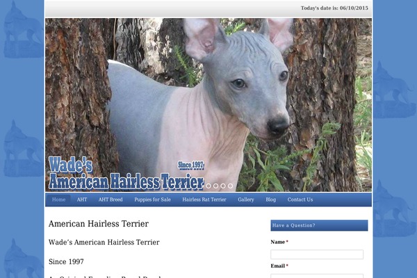 Headway theme site design template sample