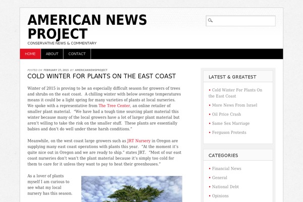 Diginews theme site design template sample