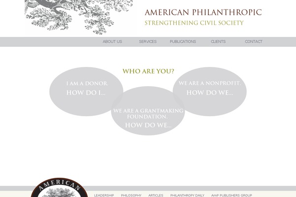 Amp theme site design template sample