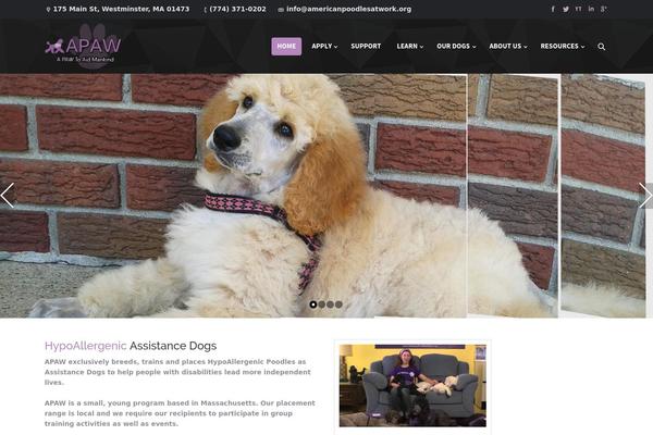 americanpoodlesatwork.org site used Dt-the7-theme
