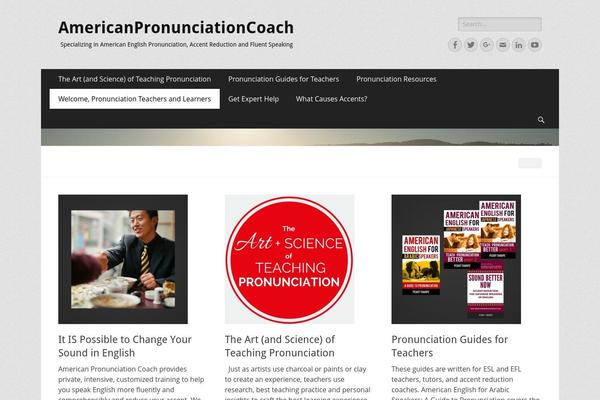 Catch Responsive theme site design template sample