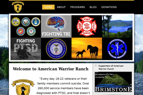 Rive_Theme-child theme websites examples