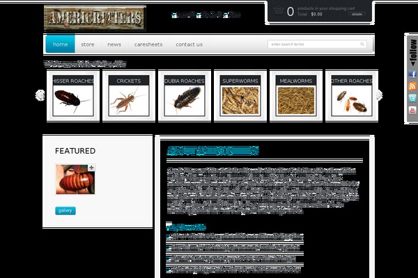 Mazine theme site design template sample
