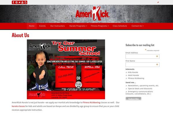 Site using Tenweb-speed-optimizer plugin