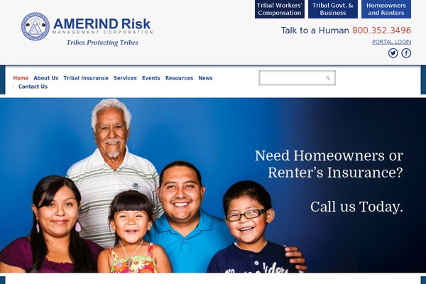 amerindcorp theme websites examples
