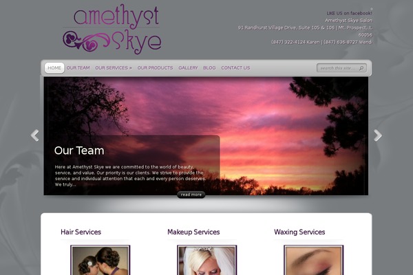 TheProfessional theme site design template sample