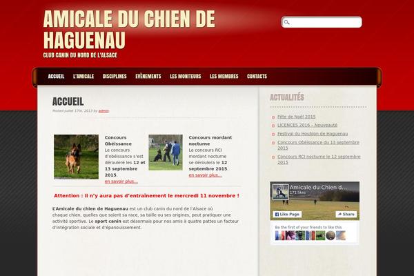 Frantic theme site design template sample