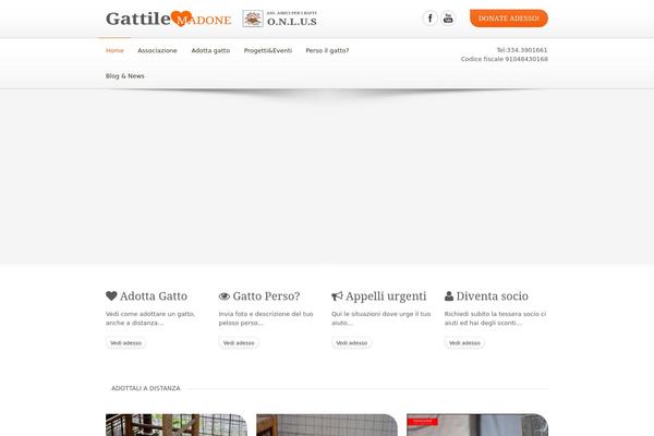 DonateNow theme site design template sample