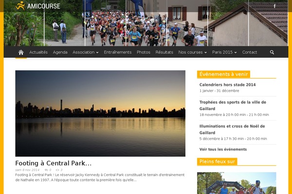 Newspaper Child theme site design template sample