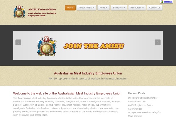 Business Pro 4 theme site design template sample