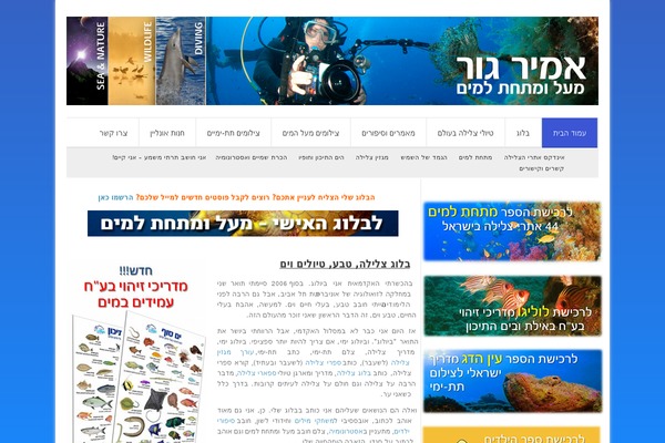 amirgur.com site used 100vjet