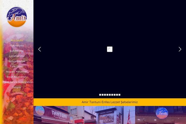 amir-tantuni theme websites examples