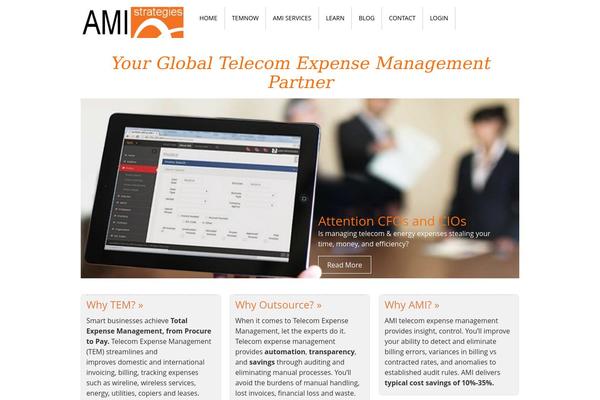 Ami theme site design template sample