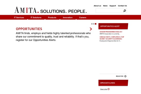 Amita theme site design template sample