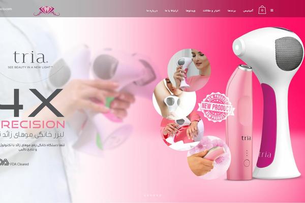 Bridge theme site design template sample