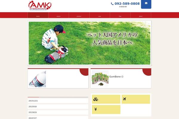 amkintl.com site used Responsive_243