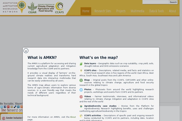 Wilson theme site design template sample