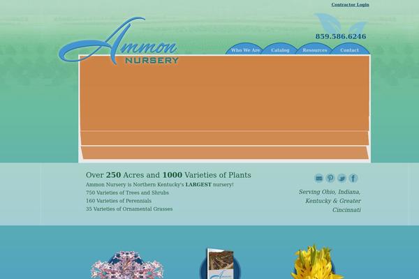 Site using Pinterest-to-wordpress plugin