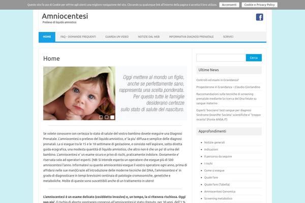 Iconic One theme site design template sample