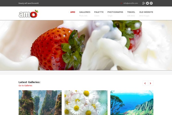 Bigwig WordPress theme, websites list used Bigwig theme Bigwig theme websites examples