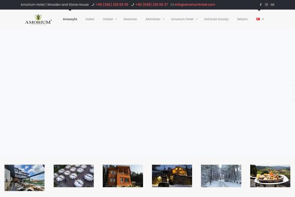 Site using Polylang plugin