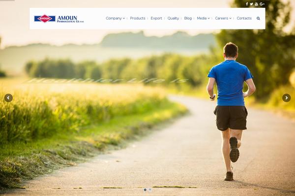 Wiz theme site design template sample
