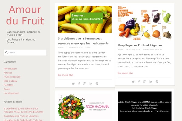 Smoothie theme site design template sample