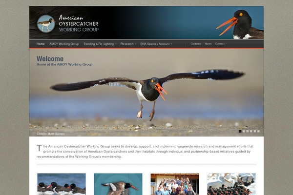 Cruz theme site design template sample