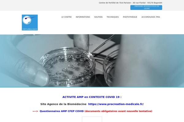 SoulMedic theme site design template sample
