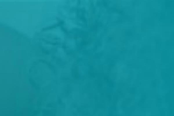 Site using Wp-countup-js plugin