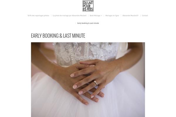 Organic_photographer theme site design template sample