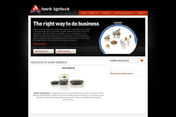 Wisebusiness theme site design template sample