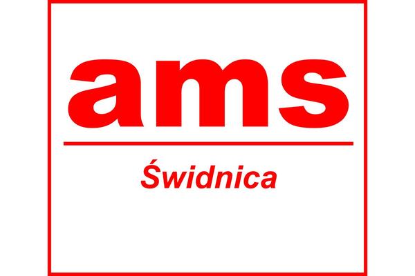 Ams theme site design template sample