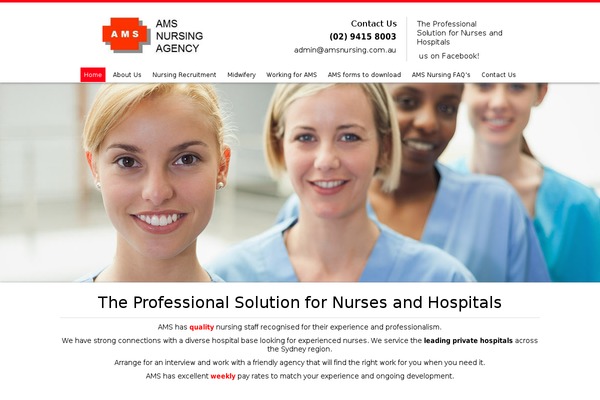 Ams theme site design template sample