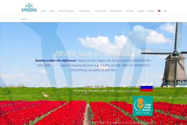 Divi-child-theme-master theme site design template sample