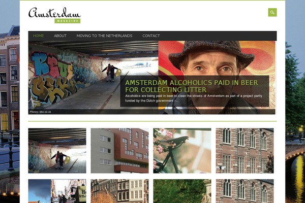 Magazino theme site design template sample
